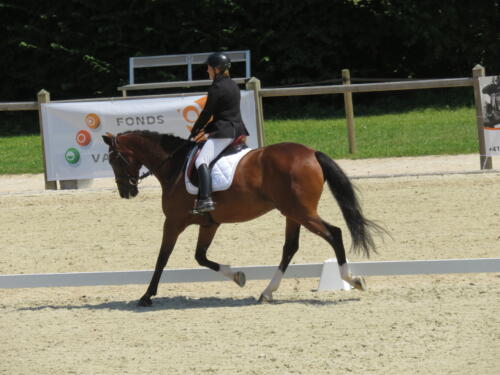 Championnats vaudois de dressage - 2018 - Cheseaux