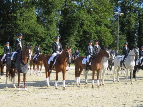 Championnats vaudois de dressage - 2021 - Cheseaux