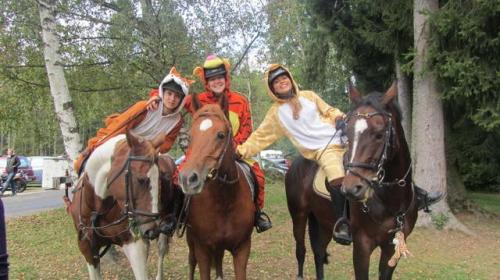 Rallye AVSH 2014