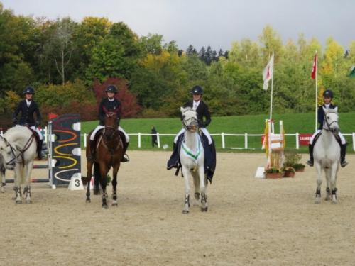 Championnats vaudois 2017, Poneys D: avant la distribution