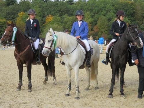 Championnats vaudois 2017, Poneys D: avant la distribution
