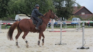 Rallye de l'AVSH 2012